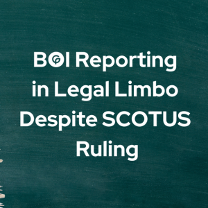 BOI Reporting in Legal Limbo guillenpujol.com